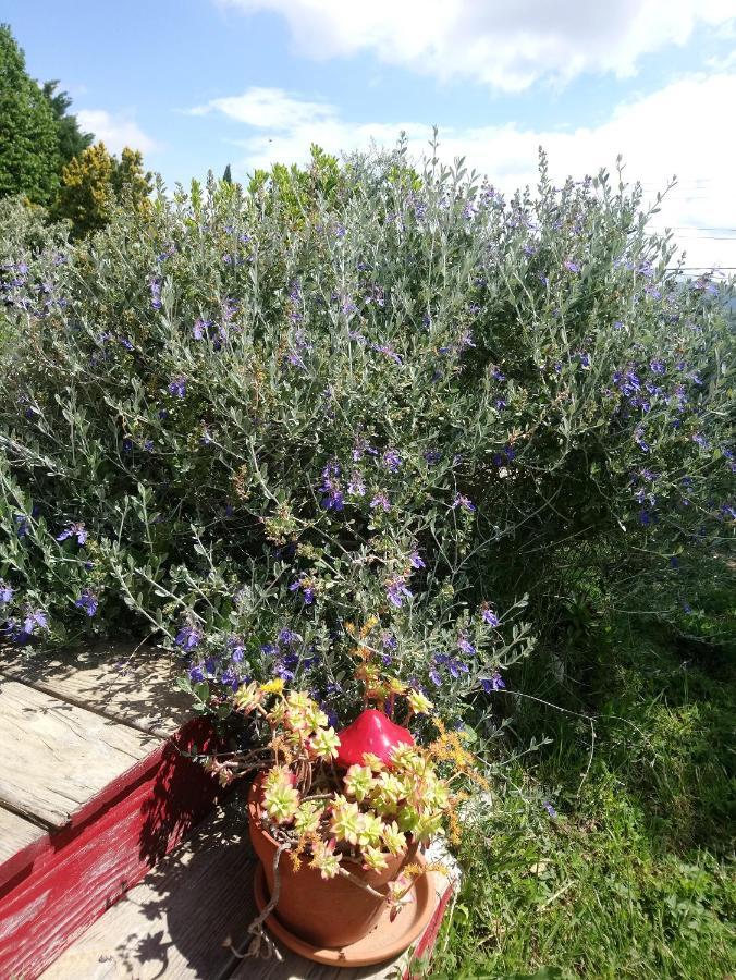 Brindepaille Bed and Breakfast Vallon-Pont-dʼArc Buitenkant foto