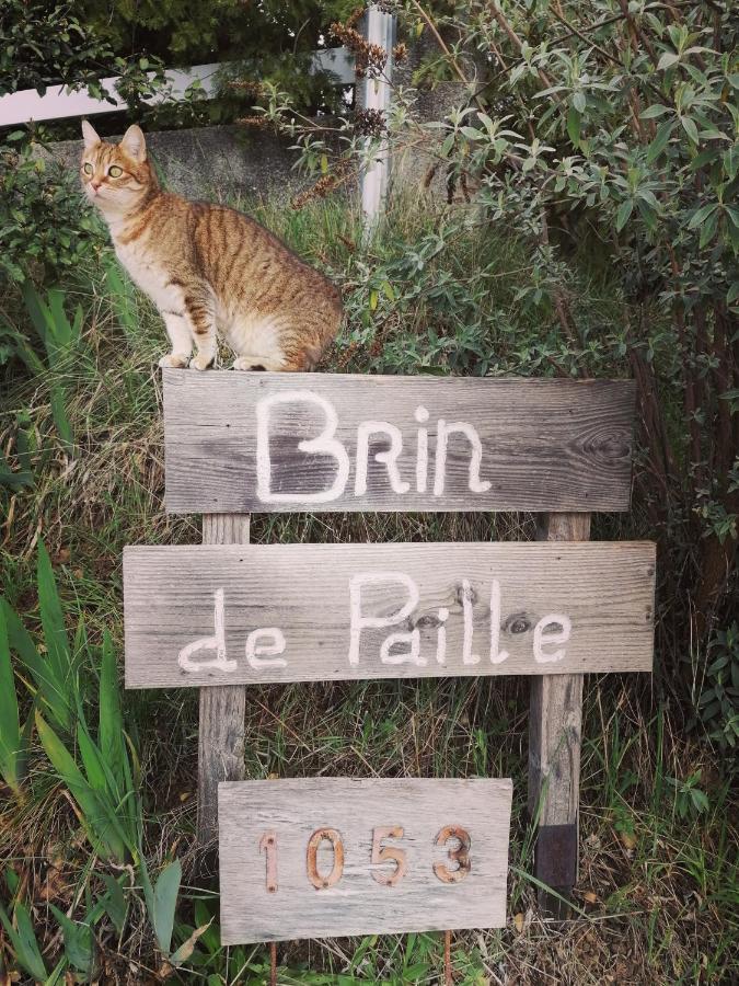 Brindepaille Bed and Breakfast Vallon-Pont-dʼArc Buitenkant foto